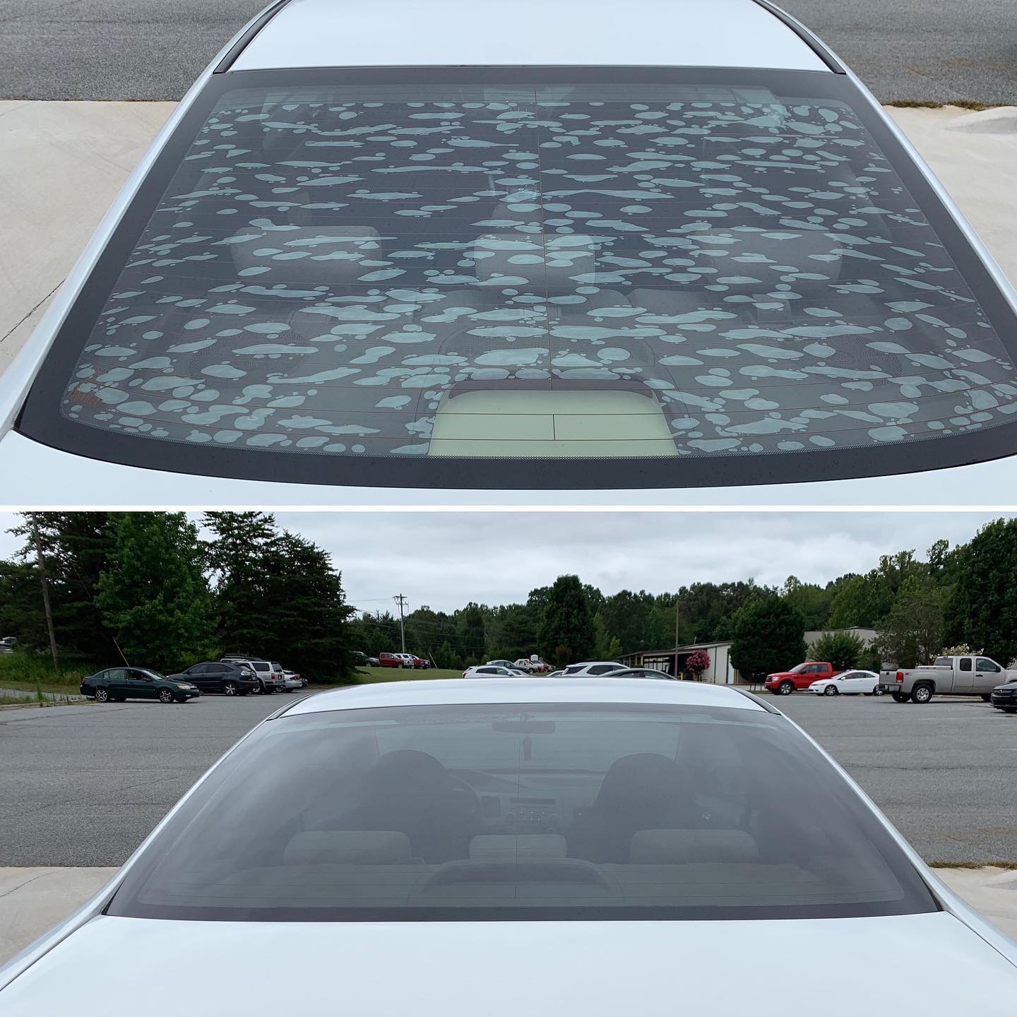 Auto Glass Tint Film at Gary Geis blog